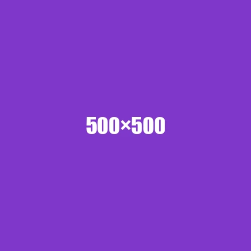 image de remplacement 500 × 500
