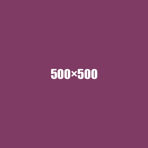image de remplacement 500 × 500