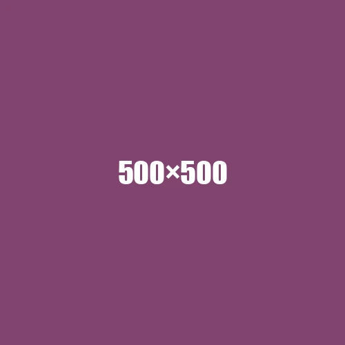 image de remplacement 500 × 500