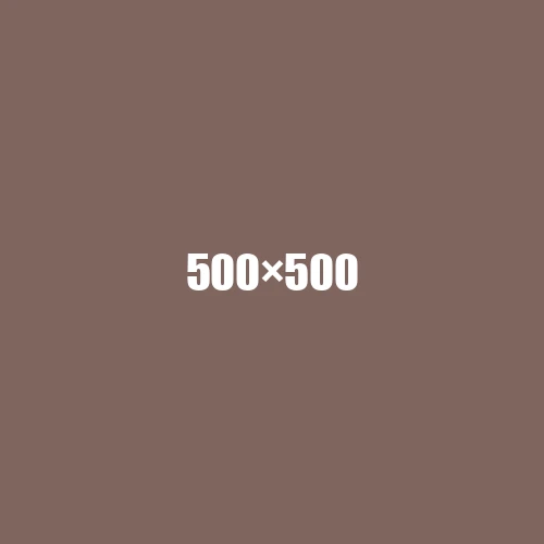 image de remplacement 500 × 500