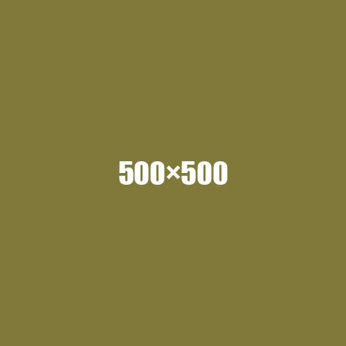 image de remplacement 500 × 500