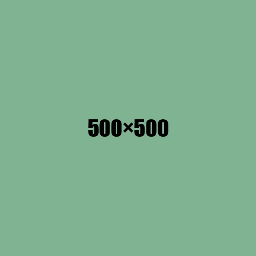 image de remplacement 500 × 500