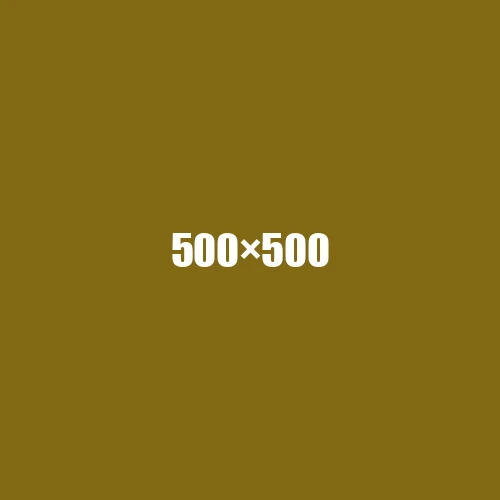 image de remplacement 500 × 500