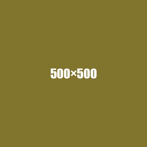 image de remplacement 500 × 500