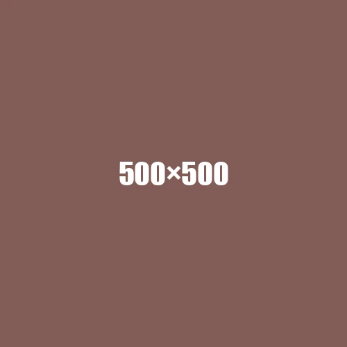 image de remplacement 500 × 500