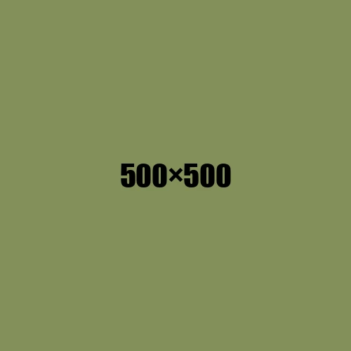 image de remplacement 500 × 500