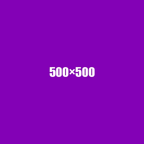 image de remplacement 500 × 500