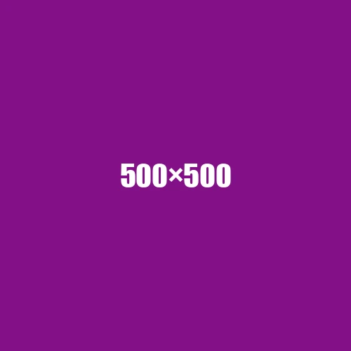 image de remplacement 500 × 500