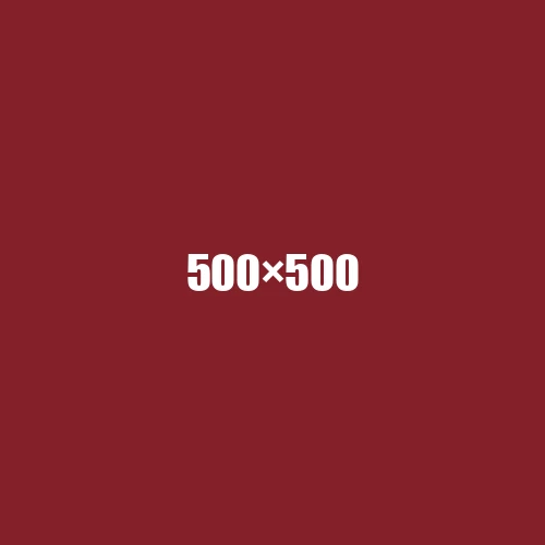 image de remplacement 500 × 500