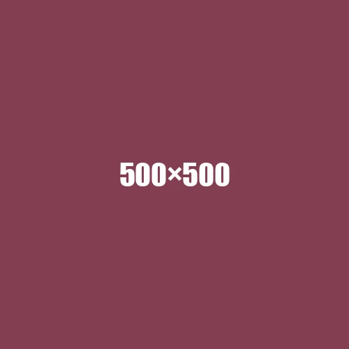image de remplacement 500 × 500