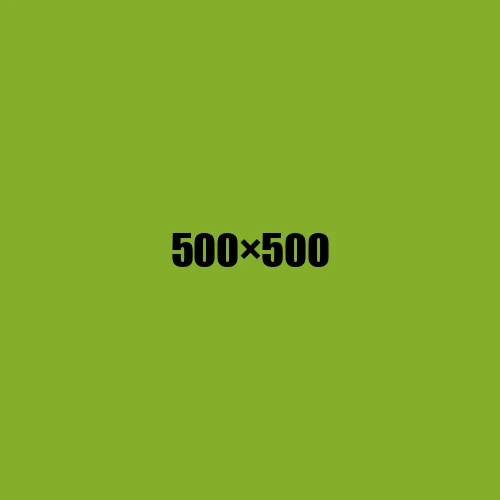 image de remplacement 500 × 500