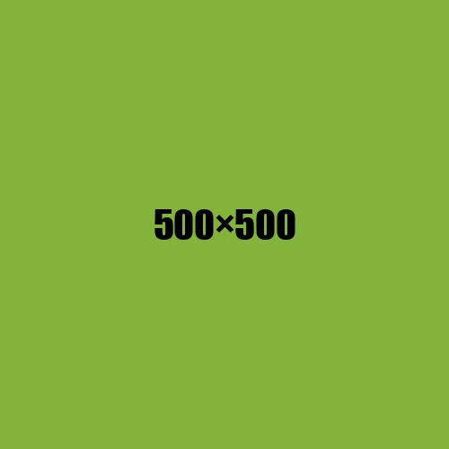 image de remplacement 500 × 500