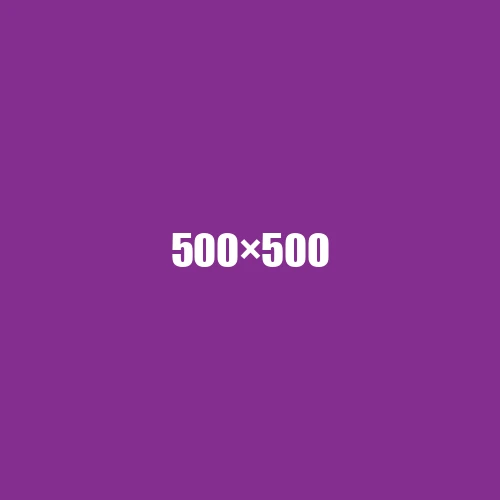 image de remplacement 500 × 500