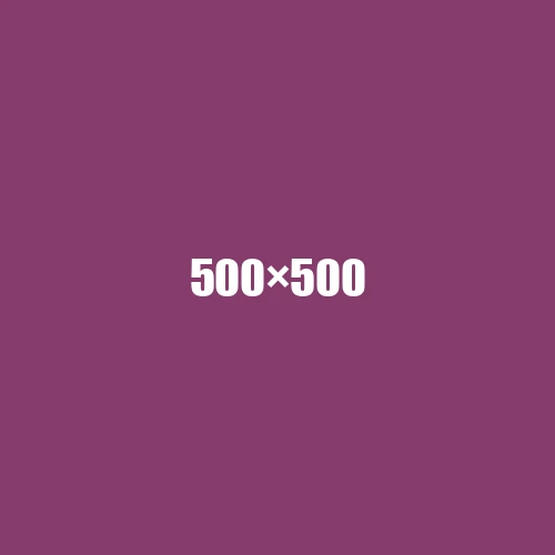 image de remplacement 500 × 500