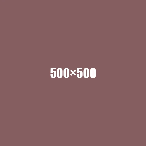 image de remplacement 500 × 500