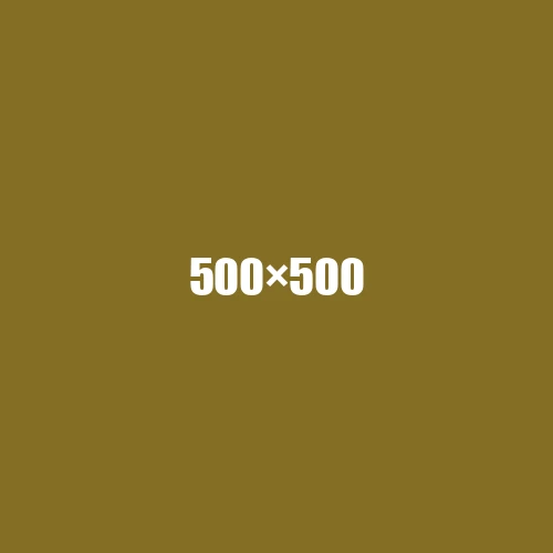 image de remplacement 500 × 500