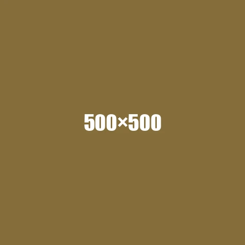 image de remplacement 500 × 500