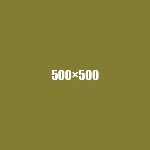 image de remplacement 500 × 500