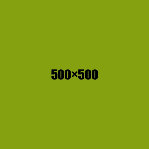 image de remplacement 500 × 500