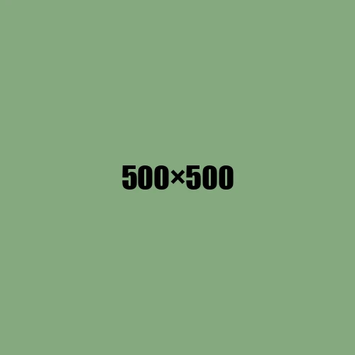 image de remplacement 500 × 500