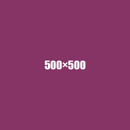 image de remplacement 500 × 500