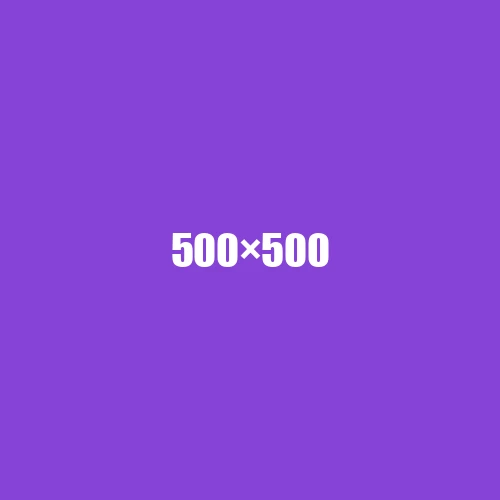 image de remplacement 500 × 500