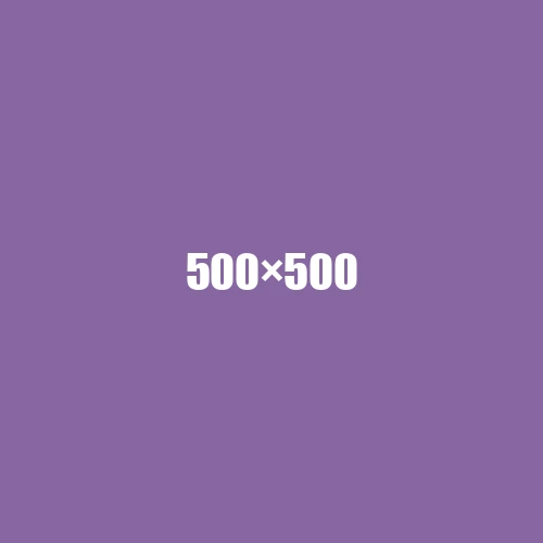image de remplacement 500 × 500