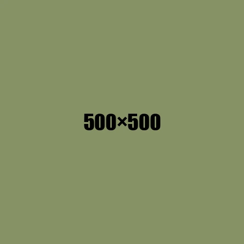 image de remplacement 500 × 500
