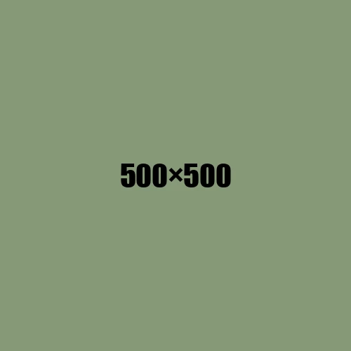 image de remplacement 500 × 500