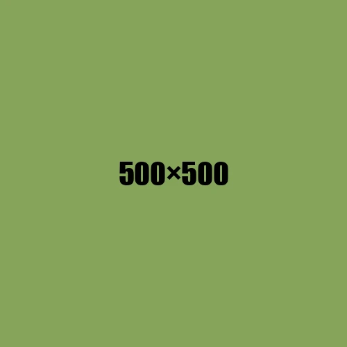 image de remplacement 500 × 500