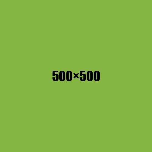 image de remplacement 500 × 500