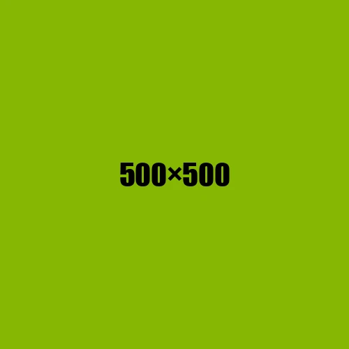 image de remplacement 500 × 500