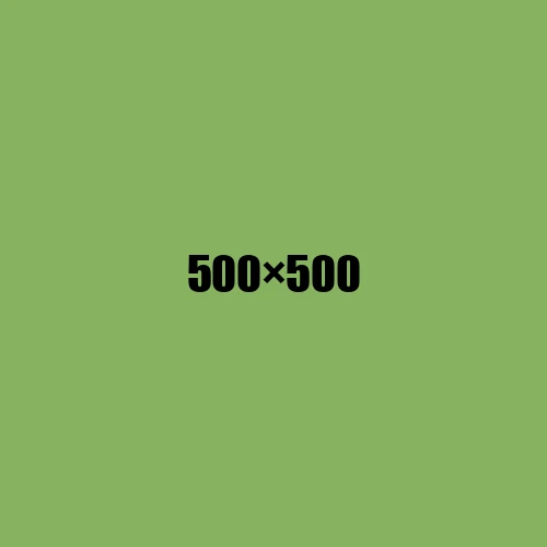 image de remplacement 500 × 500