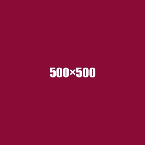 image de remplacement 500 × 500