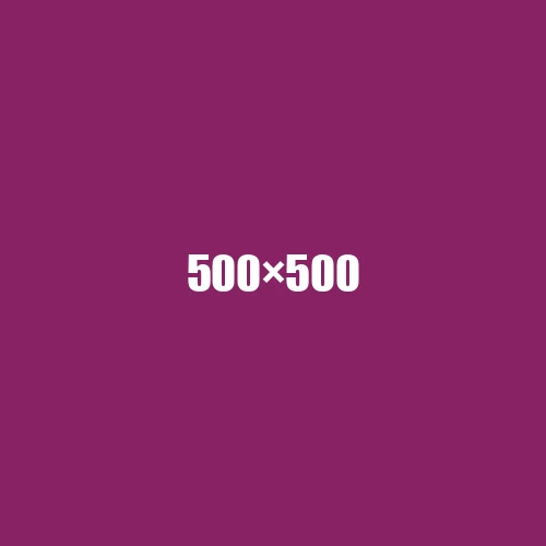 image de remplacement 500 × 500