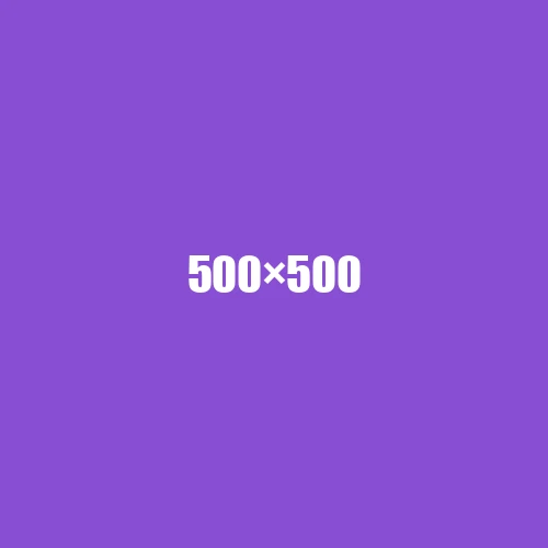 image de remplacement 500 × 500