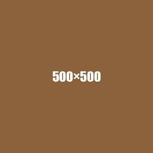 image de remplacement 500 × 500