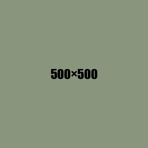 image de remplacement 500 × 500