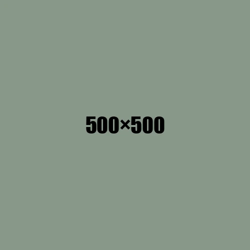 image de remplacement 500 × 500
