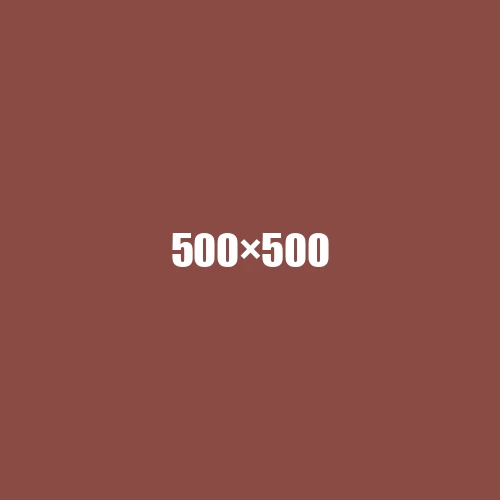 image de remplacement 500 × 500