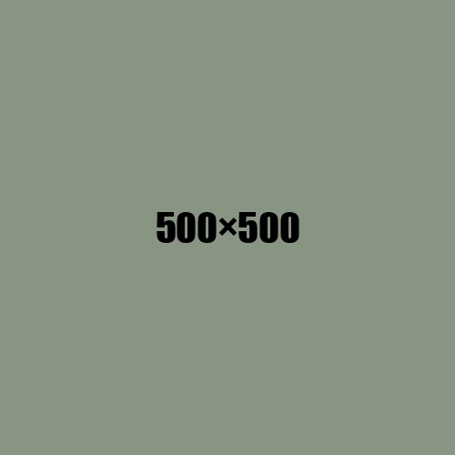 image de remplacement 500 × 500