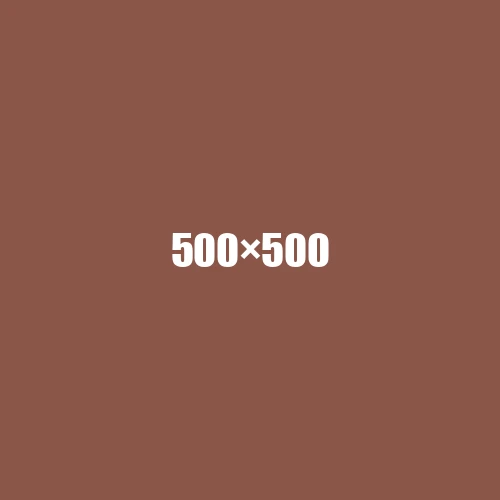 image de remplacement 500 × 500
