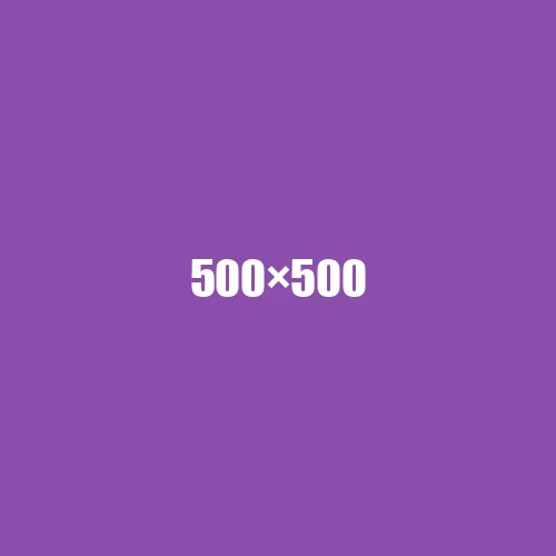 image de remplacement 500 × 500