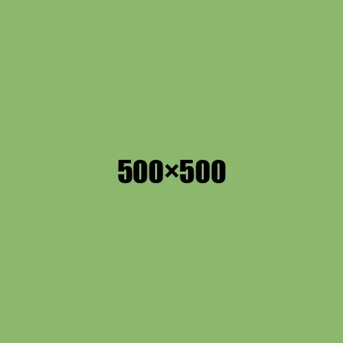 image de remplacement 500 × 500