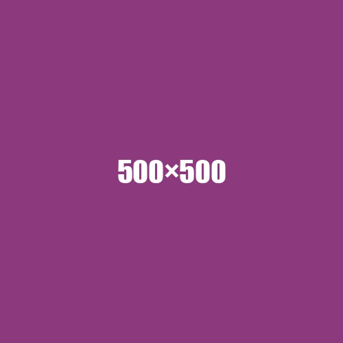 image de remplacement 500 × 500