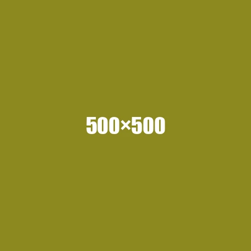 image de remplacement 500 × 500
