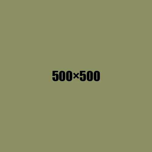 image de remplacement 500 × 500