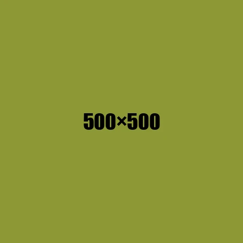 image de remplacement 500 × 500