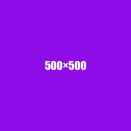 image de remplacement 500 × 500