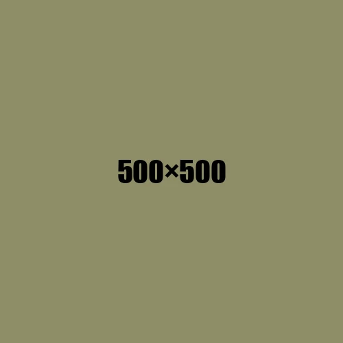 image de remplacement 500 × 500